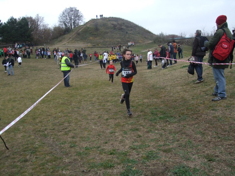 cross-mamelon-25.jpg