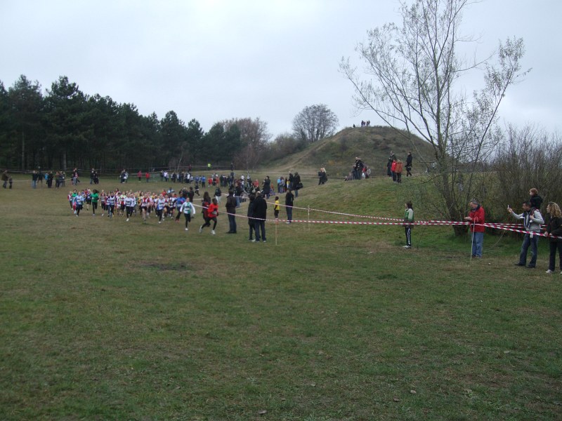 cross-mamelon-33.jpg