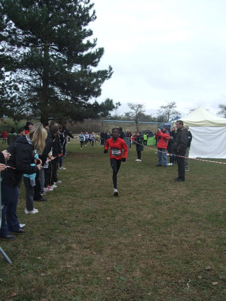 cross-mamelon-34.jpg