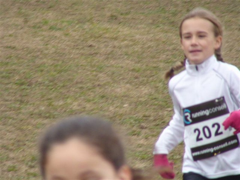 cross-mamelon-4.jpg
