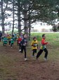 cross-mamelon-12.jpg