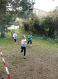cross-mamelon-13.jpg