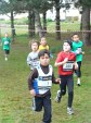 cross-mamelon-14.jpg