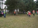 cross-mamelon-23.jpg