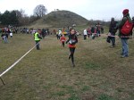cross-mamelon-25.jpg