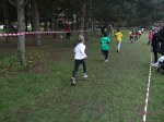 cross-mamelon-30.jpg