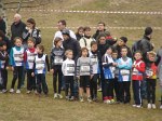 cross-mamelon-9.jpg