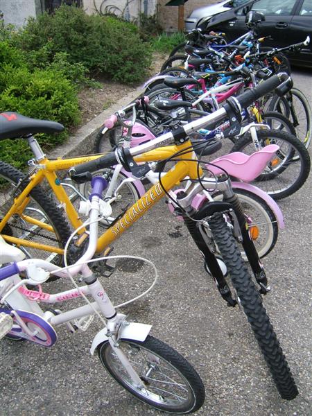 stage-ttr-2011-duathlon-petits-1.jpg