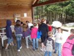 stage-activites-enfants-107.jpg
