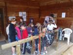 stage-activites-enfants-108.jpg