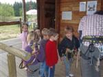 stage-activites-enfants-111.jpg
