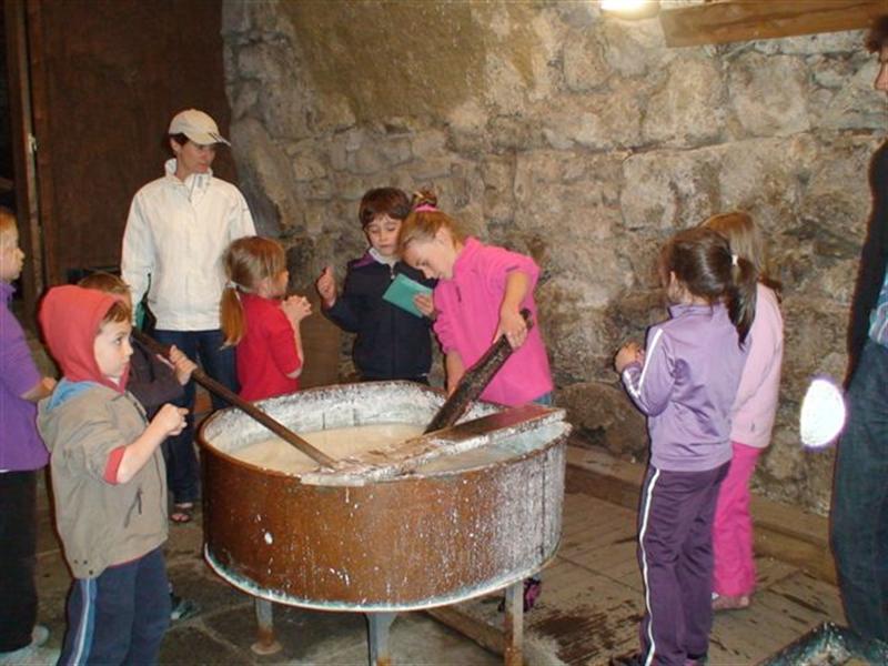 stage-activites-enfants-11.jpg