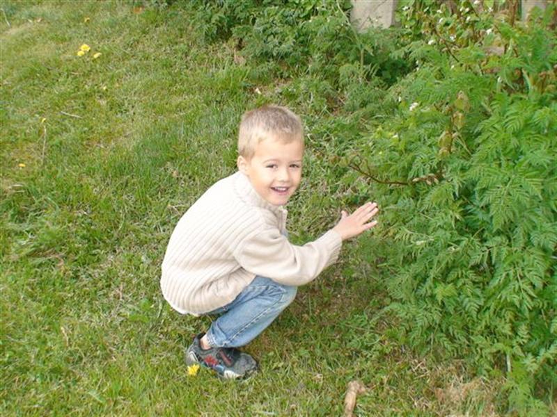 stage-activites-enfants-23.jpg