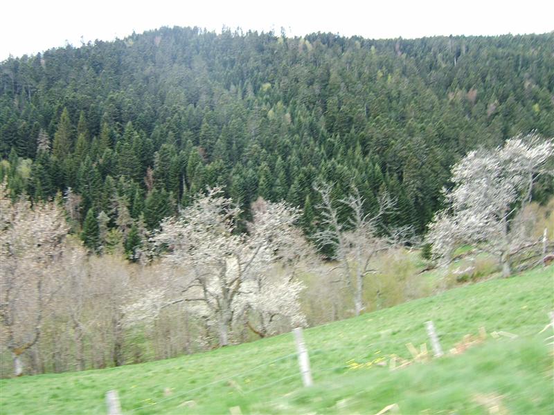 stage-ttr-2011-velo-96.jpg