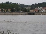 barlet-3.jpg