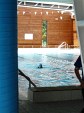 fete-du-sport-215.jpg