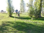 raid-castor-48.jpg