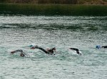 rumilly-51.jpg