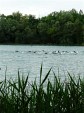 rumilly-56.jpg