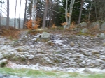 sttr-58.jpg