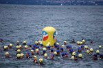 thonon-27.jpg