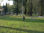 trail-castelpontain-10.jpg