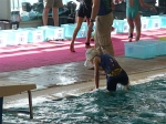 aquathlon-villeurbanne-49.jpg