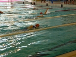 aquathlon-villeurbanne-74.jpg