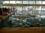 aquathlon-villeurbanne-77.jpg