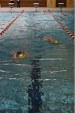 aquathlon-rillieux-172.jpg
