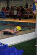 aquathlon-rillieux-186.jpg