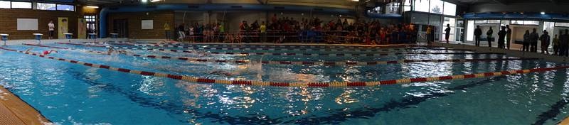aquathlon-rillieux-83.jpg