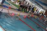 aquathlon-rillieux-297.jpg