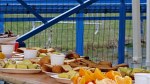 aquathlon-rillieux-51.jpg