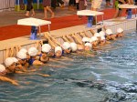 aquathlon-villeurbanne-109.jpg
