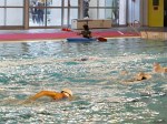 aquathlon-villeurbanne-131.jpg
