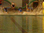 aquathlon-villeurbanne-67.jpg