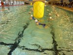 aquathlon-villeurbanne-68.jpg
