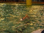 aquathlon-villeurbanne-71.jpg