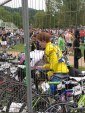 cublize-7.jpg