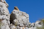 raid-insa-orange-49.jpg