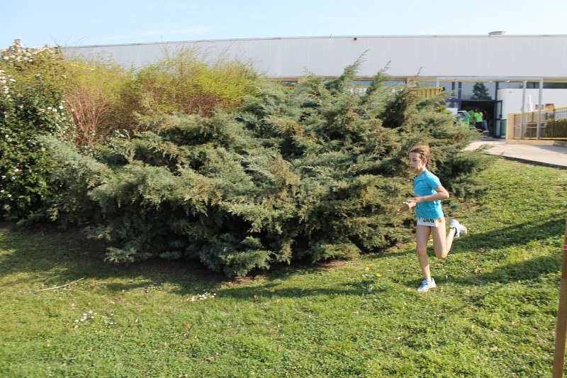 aquathlon-24.jpg