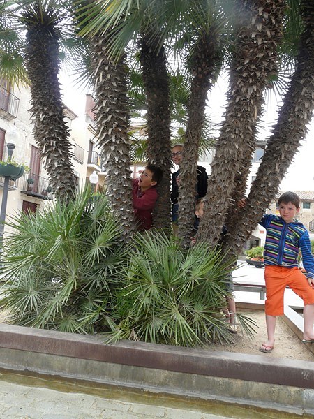 barcelone-222.jpg