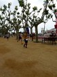 barcelone-180.jpg