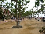 barcelone-192.jpg
