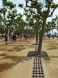 barcelone-197.jpg