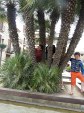 barcelone-222.jpg