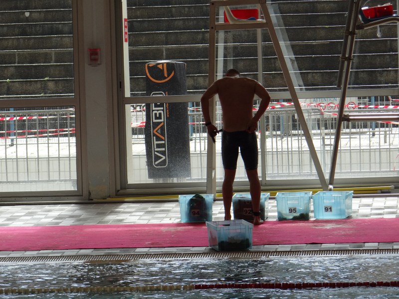 aquathlon-26.jpg