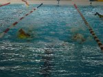 aquathlon-rillieux-2016-s-704.jpg