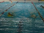 aquathlon-rillieux-2016-s-705.jpg